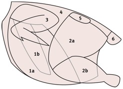 Geflügelteile
